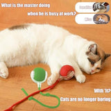 360° Smart Automatic Rolling Pet Ball Toys Pet Clever 