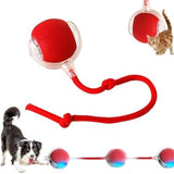 360° Smart Automatic Rolling Pet Ball Toys Pet Clever 