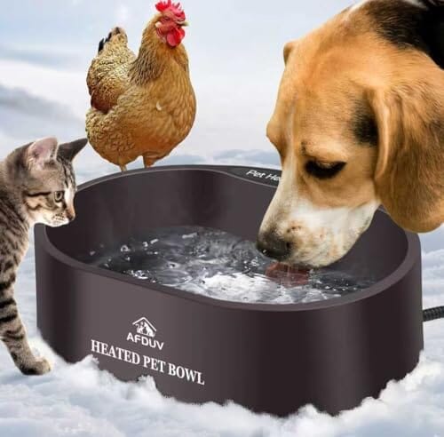 3.7L Automatic Heated Dog Bowl Outdoor with Anti Chew Cord Dog Bowls & Feeders Pet Clever 