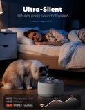 3L/101oz Automatic Pet Water Fountain for Cats & Dogs Dog Bowls & Feeders Pet Clever 
