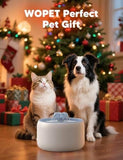 3L/101oz Automatic Pet Water Fountain for Cats & Dogs Dog Bowls & Feeders Pet Clever 