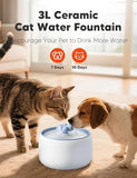 3L/101oz Automatic Pet Water Fountain for Cats & Dogs Dog Bowls & Feeders Pet Clever 