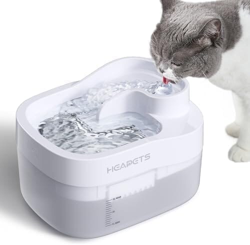 3L/101oz Wireless Pet Fountain Dog Bowls & Feeders Pet Clever 