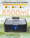 4 Heights Adjustable Pet Fountain for All Dog Sizes Dog Bowls & Feeders Pet Clever 