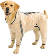 Dog Training