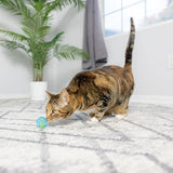 4 pcs Colorful Toys to Entertain Indoor Cats and Kittens Cat Toys Pet Clever 