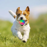 4 pcs Light Up Dog Balls Interactive Pet Toys Toys Pet Clever 