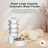 8L Automatic Water Feeder with Stainless Steel Bowl - Two Caps and Filters for 30-60 LB Dogs Dog Bowls & Feeders Pet Clever 