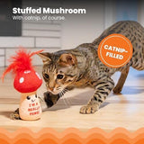 A Really Fungi Mushroom Kicker Catnip Toy and Dental Toy Cat Toys Pet Clever 