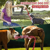 Almost Indestructible Nylon Bone Real Beef Flavor Dog Toys Pet Clever 