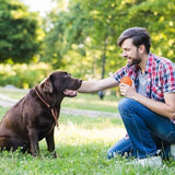 Auto Bouncing Rotating Ball Toys Pet Clever 