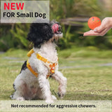 Auto Bouncing Rotating Ball Toys Pet Clever 