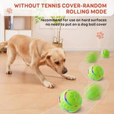 Automatic Rolling Dog Balls with Silicone Cover Toys Pet Clever 