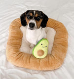 Avocado Toast Soft Plush Small Cute and Cozy Pet Bed Dog Beds & Blankets Pet Clever 