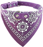 Bandana with Collar for Dogs Cat Care & Grooming Pet Clever Purple S 