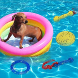 Beach & Outdoor Play – Dogs Beach Essentials (Blue Stick) Toothbrush Pet Clever 