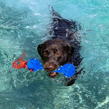 Beach & Outdoor Play – Dogs Beach Essentials (Blue Stick) Toothbrush Pet Clever 