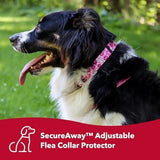 Comfortable Dog Collar Accessory - Protective Flea Collar for Dogs Collars Pet Clever 
