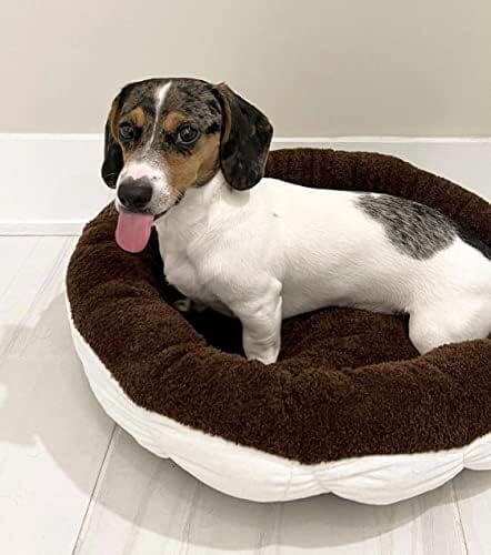 Cookies and Cream Soft Plush Small Cute and Cozy Pet Bed Dog Beds & Blankets Pet Clever 