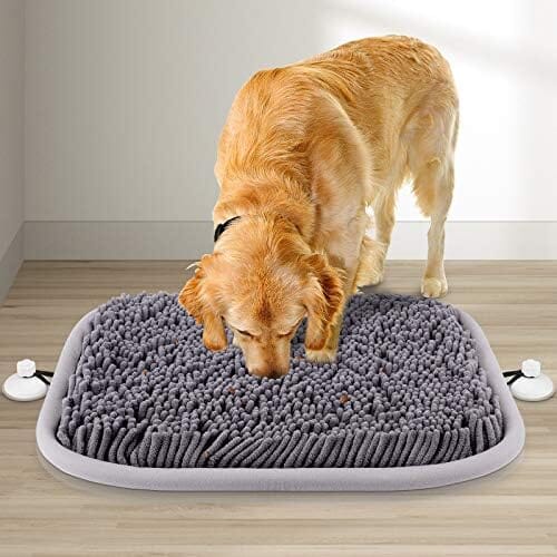 Dog Sniffing Interactive Feeding Game Boredom Dog Pet Clever 