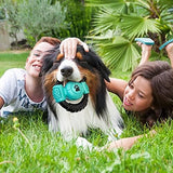 Dog Toys for Aggressive Chewers Dog Toys Pet Clever 