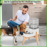 Dog Water Bowl Dispenser Stand Dog Bowls & Feeders Pet Clever 