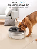 Dog Water Fountain Filters for Big Dog Water Bowl Dispenser Dog Bowls & Feeders Pet Clever 