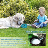 Dragon Egg Dog Chew Toys for Aggressive Chewers Toys Pet Clever 