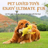 Durable Squeaky Plush Stuffed Dog Toy Dogs Dog Toys Pet Clever 