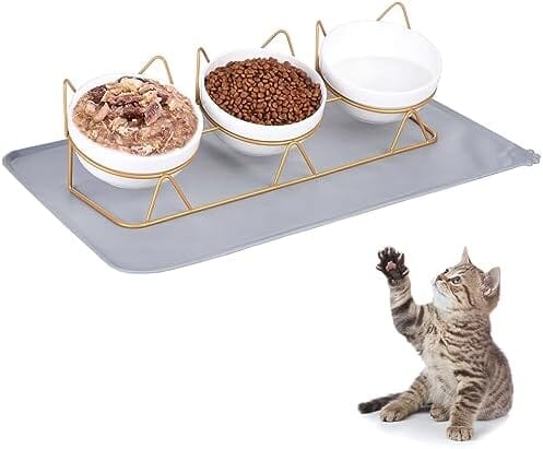 Elevated 15°Tilted Kitten Drink Bowl Gold Stand Dog Bowls & Feeders Pet Clever 