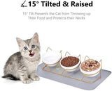 Elevated 15°Tilted Kitten Drink Bowl Gold Stand Dog Bowls & Feeders Pet Clever 