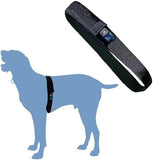 Fast, Safe & Effective Anxiety Relief for Dogs Clothes Pet Clever 