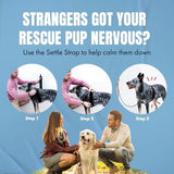 Fast, Safe & Effective Anxiety Relief for Dogs Clothes Pet Clever 