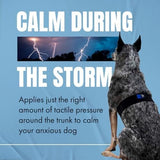 Fast, Safe & Effective Anxiety Relief for Dogs Clothes Pet Clever 