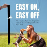 Fast, Safe & Effective Anxiety Relief for Dogs Clothes Pet Clever 