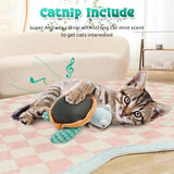 Flapping Fins Cute Turtle Interactive Catnip Toy Cat Toys Pet Clever 