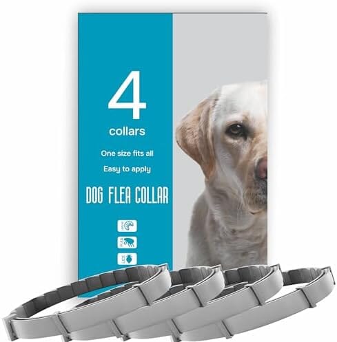 Flea and Tick Prevention for Dogs - Flea Collar - 4 Collars Pet Clever 