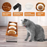 Food Bowl Set Raised for Indoor Cats Orthopedic Pet Dog Bowls & Feeders Pet Clever 