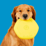 Frisbee for Dogs - Dog disc - Great for Fetch Toys Pet Clever 