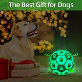 Glow in The Dark Dog Toys Soccer Ball with Straps Toys Pet Clever 