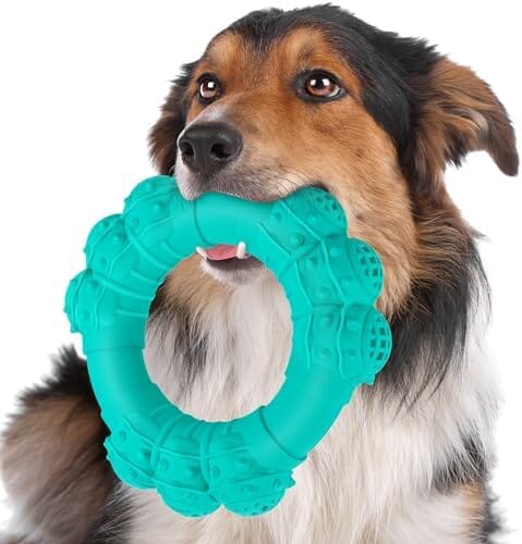 Indestructible Dog Chew Ring Toys for Aggressive Chewers Pet Clever