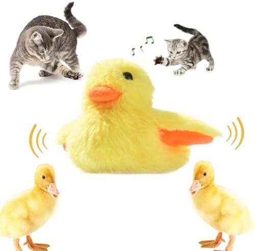 Interactive Cat Exercise Toys with Lifelike Quacking Sound - Pet Clever