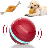 Interactive Dog Balls with Motion Activated Toys Pet Clever 