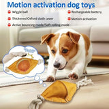 Interactive Dog Balls with Motion Activated Toys Pet Clever 