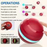 Interactive Dog Balls with Motion Activated Toys Pet Clever 