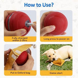 Interactive Dog Balls with Motion Activated Toys Pet Clever 