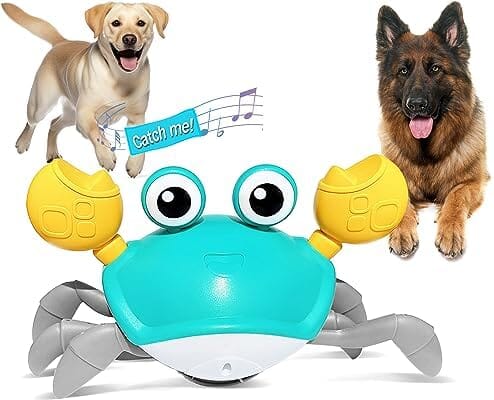 https://petclever.net/cdn/shop/files/interactive-dog-toys-with-music-sounds-lights-744463.jpg?v=1701536236