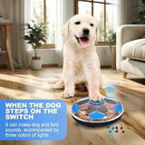 Mind Stimulating Food Game Dog Treat Toy for Dogs Dog Pet Clever 