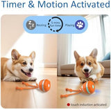 Motion Activated Dog Ball Automatic Rolling Ball Toys for Puppy Toys Pet Clever 