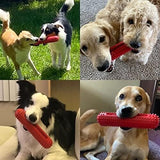 Nearly Indestructible Rubber Toys for Pet Training Toothbrush Pet Clever 